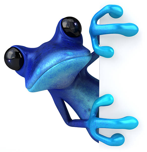 rana blu - frog three dimensional shape animal green foto e immagini stock