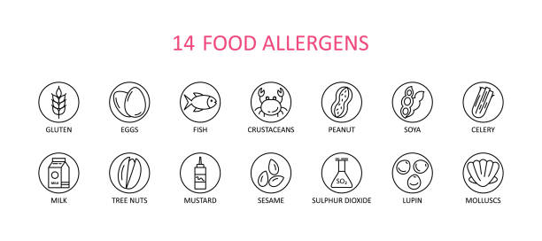 illustrations, cliparts, dessins animés et icônes de 14 icône d’allergènes alimentaires ronds. ensemble vectoriel de 14 icônes. la collection comprend le gluten, le poisson, l’œuf, le crustacé, l’arachide, le lupin, le soja, le lait, les noix d’arbres, la moutarde, le sésame, le dioxyde de souf - pollen