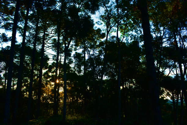 istock Campo Alegre landscapes 1212211953