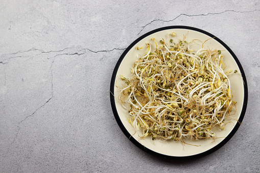 Mung beans sprouts in a plate on a light background. Top view, flat lay