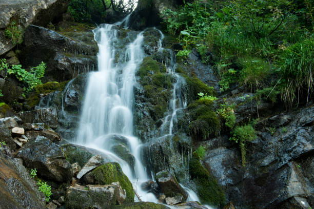 istock Scenic waterfall in the green Carpathian mountains, long exposure 1212214311