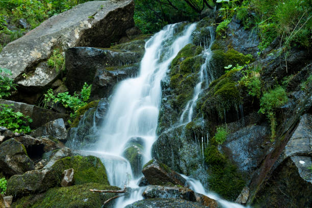 istock Scenic waterfall in the green Carpathian mountains, long exposure 1212214312