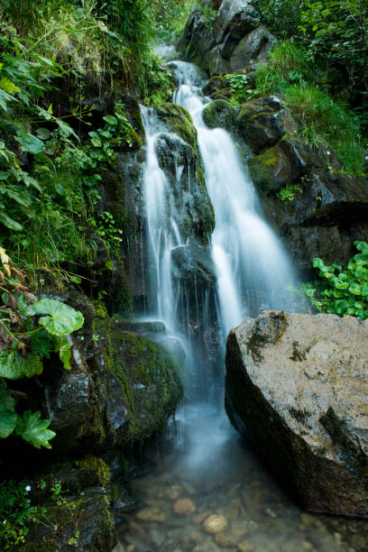 istock Scenic waterfall in the green Carpathian mountains, long exposure 1212214322
