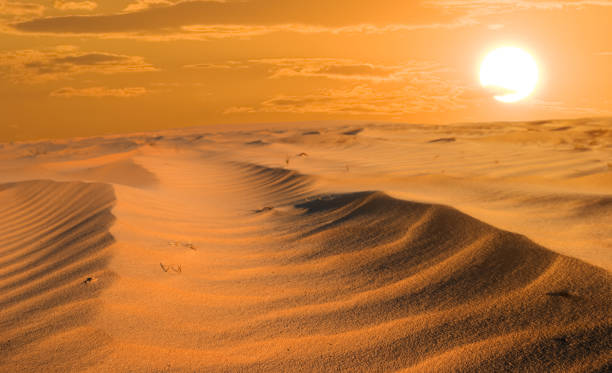 istock dramatic red sunset over the wide sandy desert, good outdoor background 1212214370