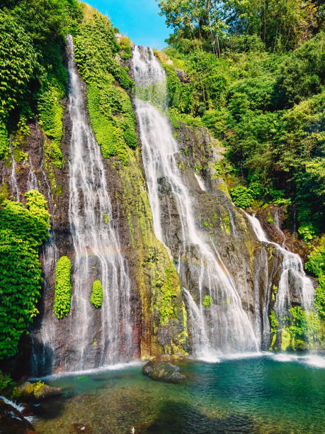 istock Amazing cascade waterfall in a tropical jungle in Bali 1212216151