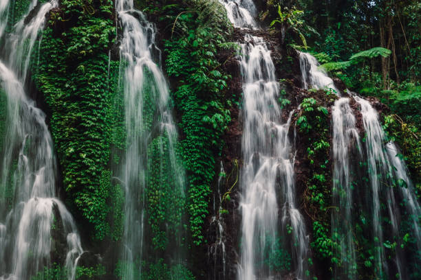 istock Amazing cascade waterfall in a tropical jungle in Bali 1212216203