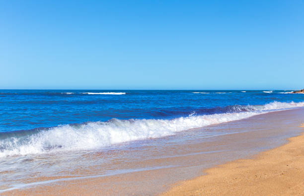 istock Foamy surf on a sandy tropical beach 1212216599