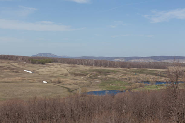istock Early spring landscape in a field near the forest, russia, selective focus 1212219044