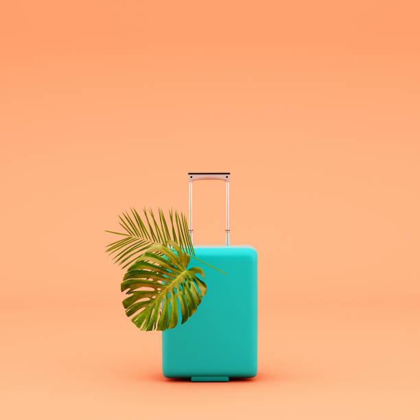 istock copy space of luggage on background,3d illustration,3d rendering 1212220319
