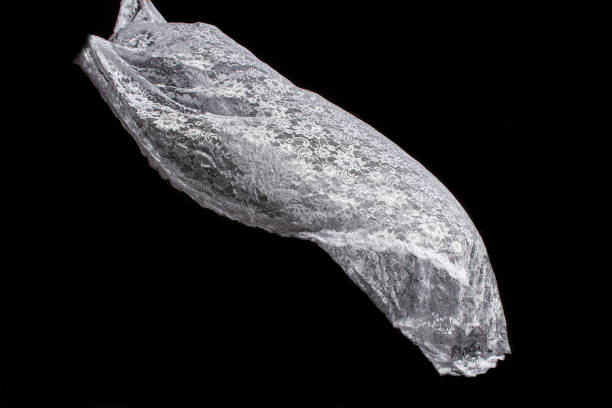 istock Fine Lace Texture wedding white Bridal veils. 1212220435