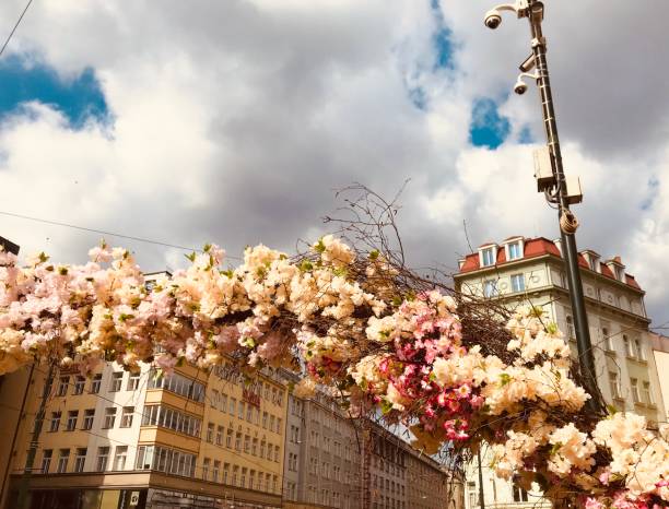 Prague flower festival