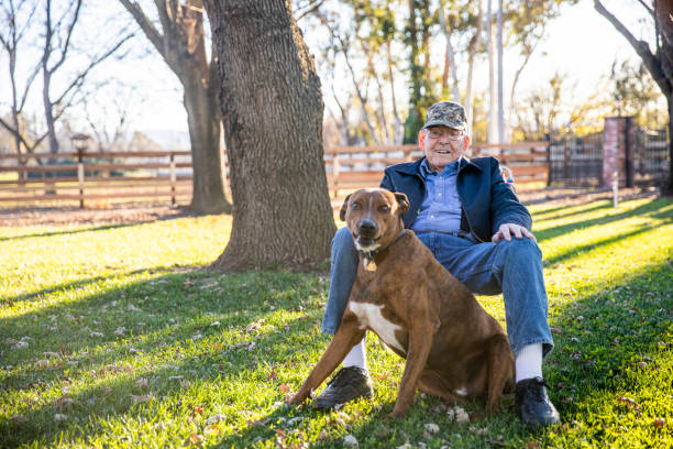 porträt eines älteren landwirts mit seinem hund - one senior man only fotos stock-fotos und bilder