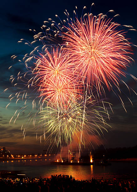 istock Brightly colorful fireworks  in the night sky 121222312