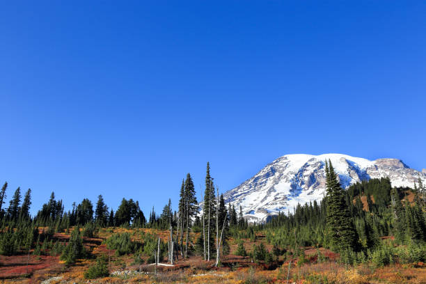 istock Mt. Rainier national park, Seattle Washinton 1212224658