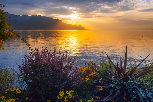 Flowers and Lake Geneva, Switzerland
