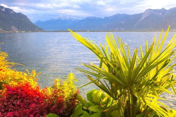 Flowers and Lake Geneva, Switzerland
