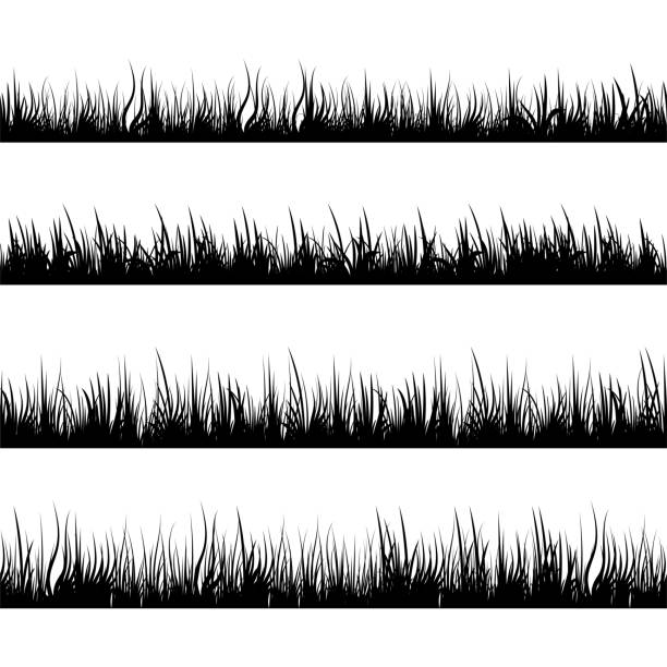 силуэты травы. луговый пейзаж. панорама черных растений. векторный набор. - farm vegetable black landscape stock illustrations