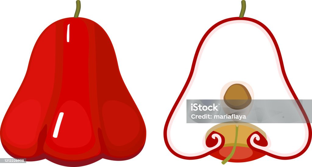Fresh Red Java Apple With Cross Section Fruit Isolated On White ...