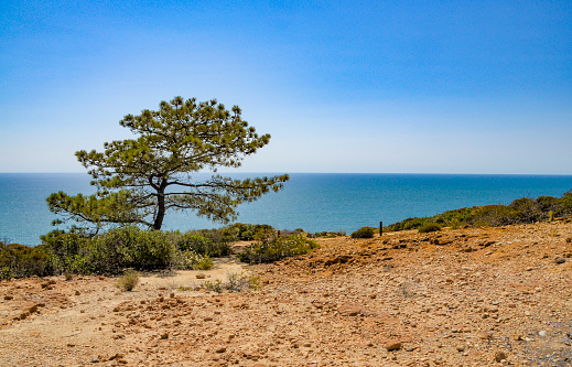 California Torrey Pines Ocean Views in San Diego, CA, United States