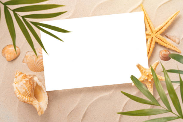 istock Minimal Frame summer background, Sand shells Seastar with blurred Palm, vacation and travel concept, Flat lay top view copy space, exotic concept 1212232114