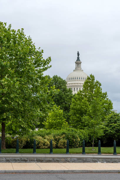 istock US Capitol Building in Washington DC. View from First street. - image 1212234764