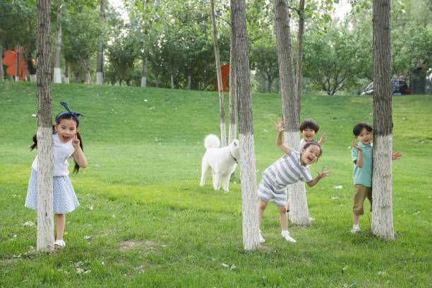 istock Happy children play on the grass 1212235387