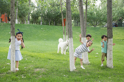 Happy children play on the grass
