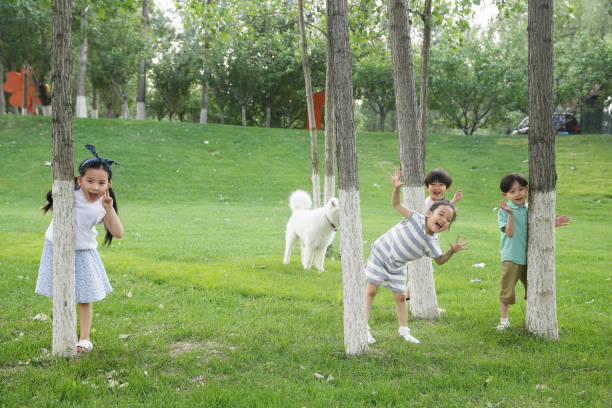 szczęśliwe dzieci bawią się na trawie - ciuciubabka zdjęcia i obrazy z banku zdjęć