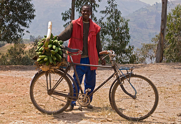istock Young african man is transporting green cooking bananas on bicycle 121223841