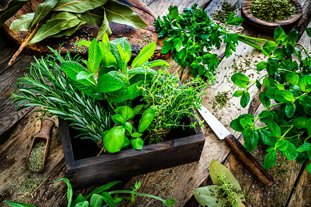 hierbas orgánicas perfumadas frescas para cocinar en la mesa de cocina rústica - medicina herbaria fotografías e imágenes de stock