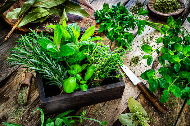 Fresh scented organic herbs for cooking shot on rustic kitchen table High angle view of a rustic wooden kitchen table with fresh herbs for cooking. The composition includes rosemary, parsley, basil, spearmint, peppermint, bay leaf, sage, oregano and thyme. Predominant colors are green and brown. High resolution 42Mp studio digital capture taken with SONY A7rII and Zeiss Batis 40mm F2.0 CF lens herb stock pictures, royalty-free photos & images