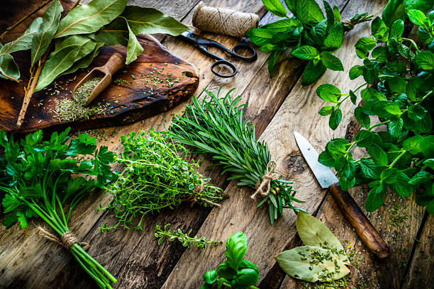 Fresh scented organic herbs for cooking shot on rustic kitchen table High angle view of a rustic wooden kitchen table with fresh herbs for cooking. The composition includes rosemary, parsley, basil, spearmint, peppermint, bay leaf, sage, oregano and thyme. Predominant colors are green and brown. High resolution 42Mp studio digital capture taken with SONY A7rII and Zeiss Batis 40mm F2.0 CF lens herbal medicine stock pictures, royalty-free photos & images