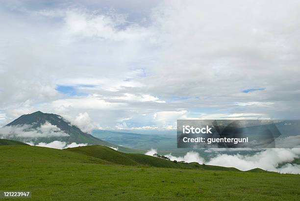 Photo libre de droit de Vue Dans La Steppe Massai Avec Lol Doinyo Lengai banque d'images et plus d'images libres de droit de Admirer le paysage - Admirer le paysage, Afrique, Afrique de l'Est