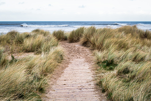 Wooden path that leads to Castlerock beach in Norhten Ireland
