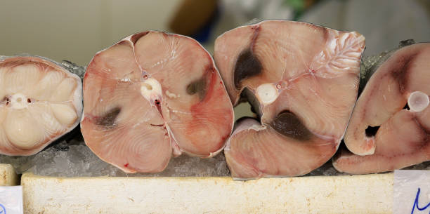 istock Fresh swordfish at a fish market. 1212244587