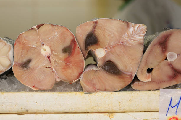 istock Fresh swordfish at a fish market. 1212244604