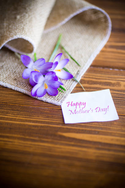 istock spring purple crocus flowers on a wooden table 1212246285