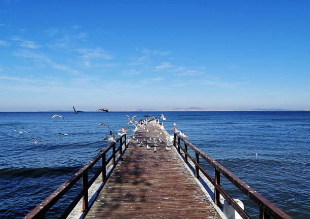 вид на город ялова - yalova стоковые фото и изображения