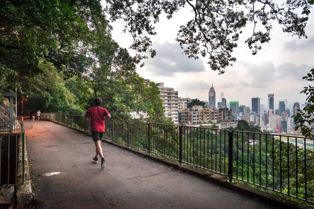 A jogger and a dog walker on the Bowen Road fitness trail, high above Hong Kong Island Bowen Road, Hong Kong Island - Sept 25, 2013 - A jogger and a dog walker on the Bowen Road fitness trail, high above Hong Kong Island. The Bowen Road fitness trail is a 4km-long trail traveling from the mid-levels to Wong Nai Chung Gap areas of Hong Kong Island. It is situated half-way up the hillside above Central, Wan Chai and Happy Valley and is a popular running and dog-walking route. central plaza hong kong stock pictures, royalty-free photos & images