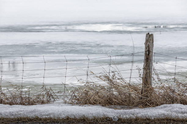 istock Old wooden and wire fence 1212252705