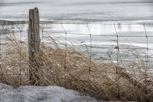 istock Old wooden and wire fence 1212252727