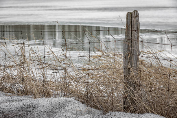istock Old wooden and wire fence 1212252795