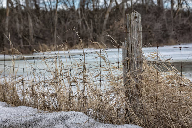 istock Old wooden and wire fence 1212252805