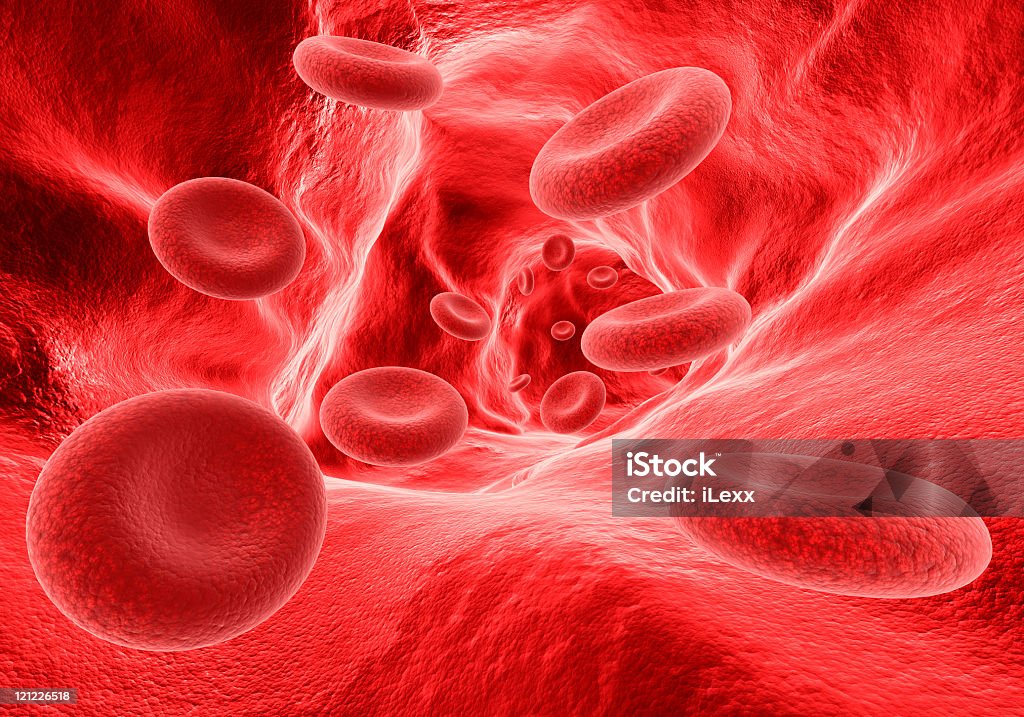 Le cellule del sangue nella vena - Foto stock royalty-free di Biologia