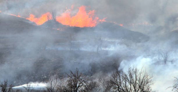 istock Fire and smoke from the ignition of dry grass and branches. 1212267376