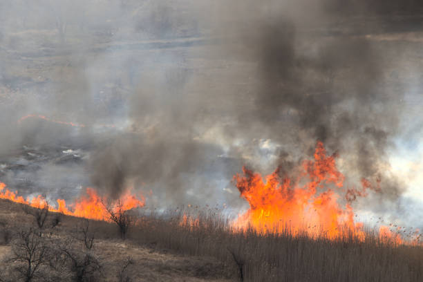 istock Burning dry grass in the open air. 1212267388