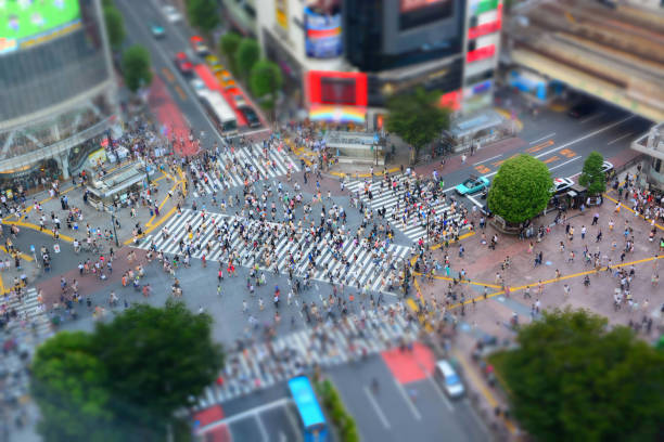 Aerial cityscape miniature view of busy Shibuya pedestrian zebra crossing in Tokyo, Japan Elevated view of famous Shibuya pedestrian zebra crossing with miniature tilt-shift image technique in Tokyo, Japan tilt shift stock pictures, royalty-free photos & images