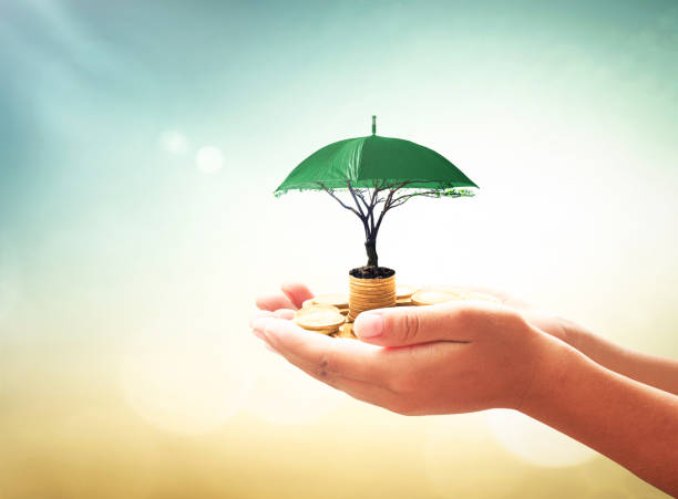 concept de responsabilité sociale des entreprises (rse) - umbrella protection savings currency photos et images de collection