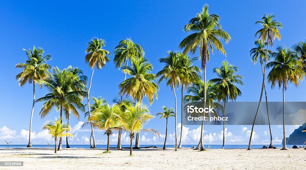 Bahía Maracas - Foto de stock de Trinidad y Tobago libre de derechos