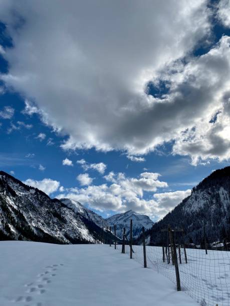 panorama alpino em tannheimer tall, vale vilsalpsee - lake mountain north tirol austria - fotografias e filmes do acervo